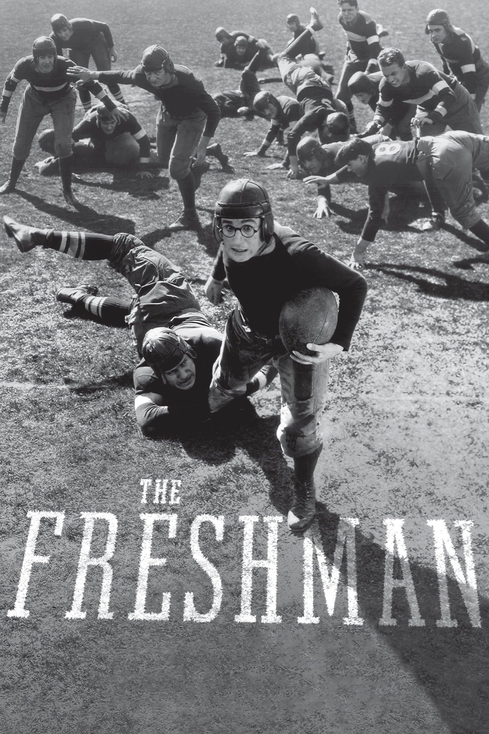 Постер The Freshman